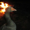 80edfd lit duck